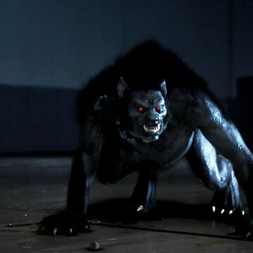 The Alpha Werewolf Teen Wolf Wiki Fandom