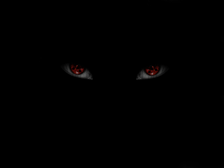 Haunted By Green Cat With Red Eyes Haunted By Green Cat With Red Eyes