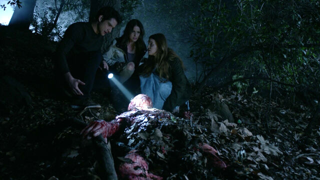 File:Tyler-Posey-Shelley-Hennig-Holland-Roden-Scott-Malia-Lydia-Teen-Wolf-Season-6-Episode-17-Werewolves-of-London.jpg