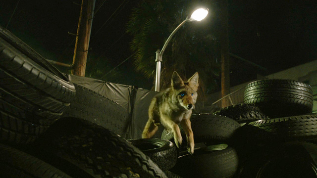 memory lost season 6 episode 1 watch online memory lost season 6 episode 1 watch online