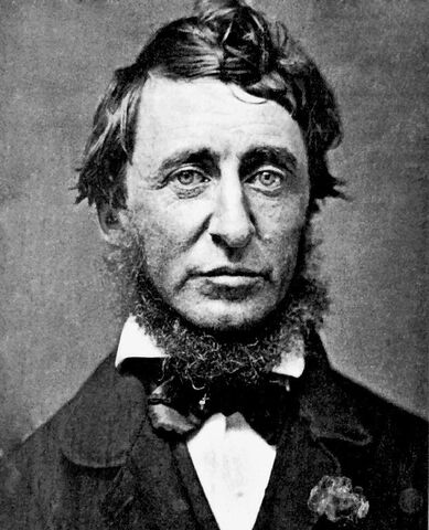 File:Henry David.jpeg
