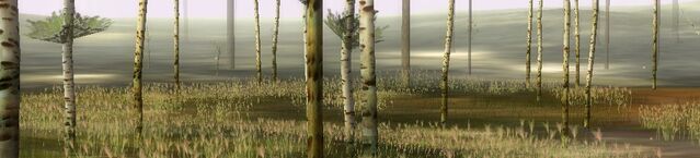 File:Birchforest.jpg