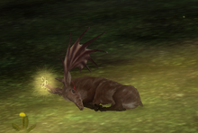 Sable2