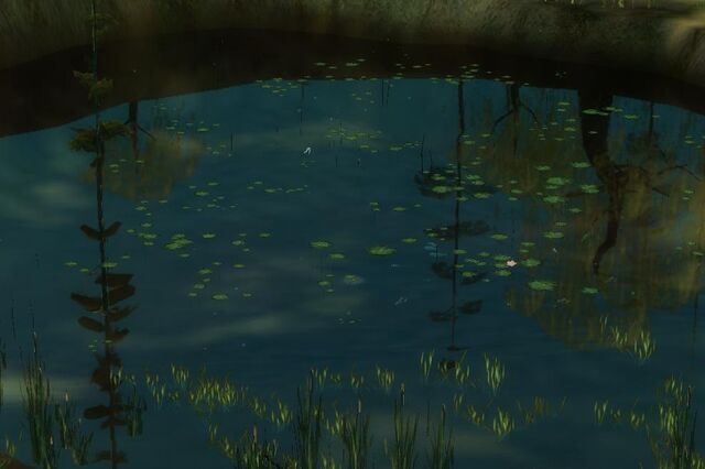 File:Pond.jpg