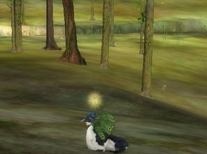 Dodo