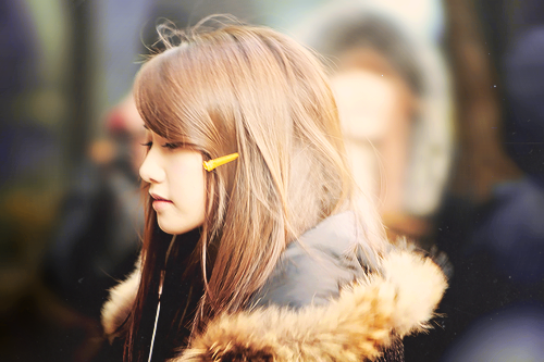 Longhairedpoppy