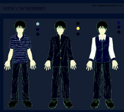 100306 Chokeberry Outfit Colored