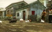 Rustic Asia - Tekken 6