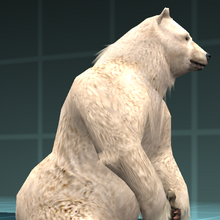Kuma Ii Outfits Tekken Wiki Fandom