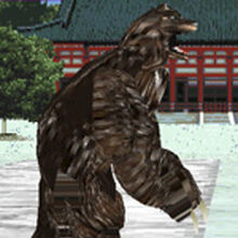 Kuma Outfits Tekken Wiki Fandom