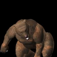 Kuma Tekken Wiki Fandom