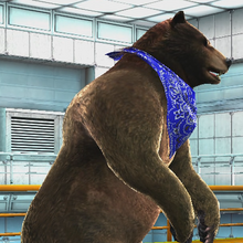 Kuma Ii Outfits Tekken Wiki Fandom