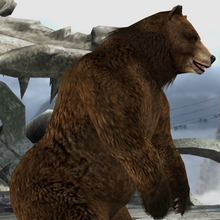Kuma Ii Outfits Tekken Wiki Fandom