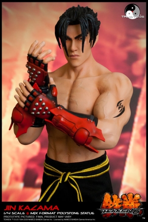 User Blog Toonbaku Jin Kazama Statue Tekken Wiki Fandom Powered