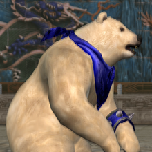 Kuma Ii Outfits Tekken Wiki Fandom