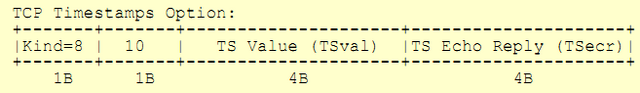 File:Tcp options.png