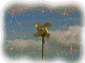 1windmill