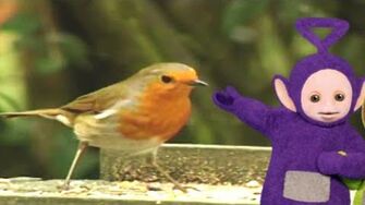 Robin | Teletubbies Wiki | FANDOM powered by Wikia