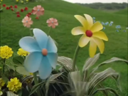 Talking Flowers | Teletubbies Wiki | FANDOM powered by Wikia