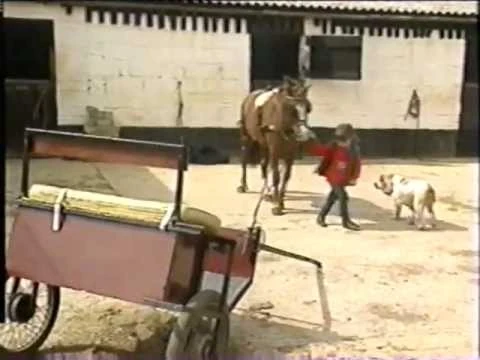 Emily and the Trap | Teletubbies Wiki | Fandom