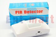 PIR1