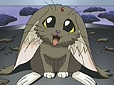Fuku-01