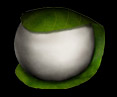 Poison Rice Ball