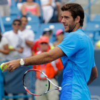 Juan Martin Del Potro Tennis Database Wiki Fandom