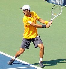File Paris Fr 75 Open De Tennis 31 5 17 Roland Garros Novak Djokovic 06 Jpg Wikimedia Commons
