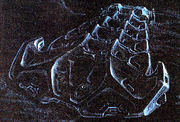 Hk silverfish pic
