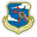 Sac patch