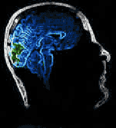 I950 wetware