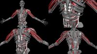 Hybrid-Endo- and-Vascular-System