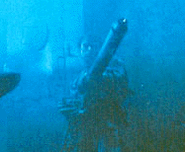 Image result for franco columbu terminator gif