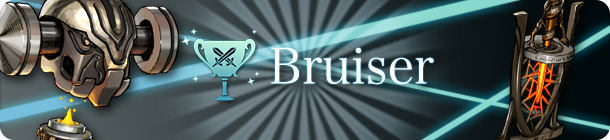 Bruiser Cup banner