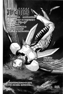 Chapter 41