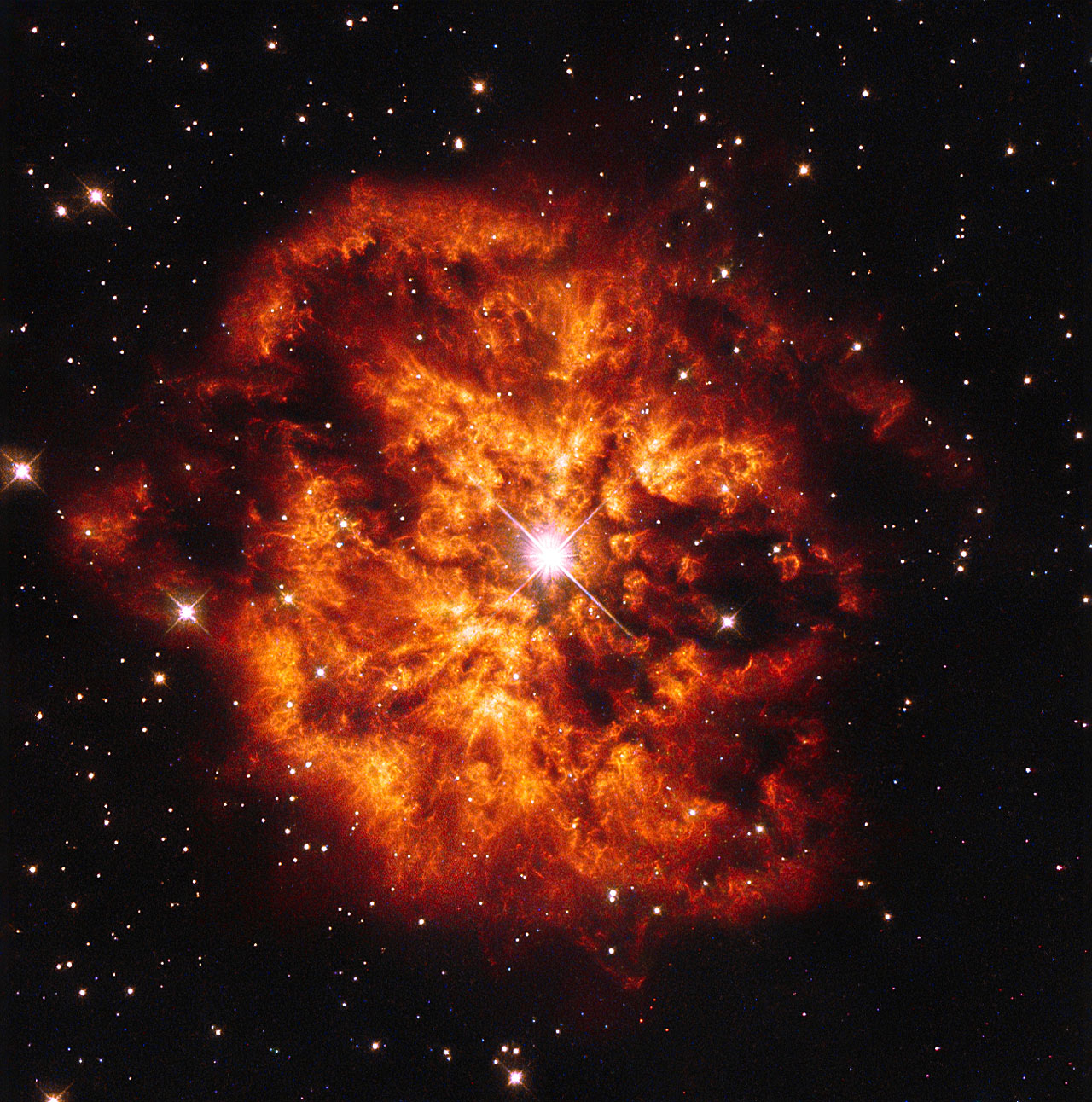 wolf-rayet-stars-terraforming-wiki-fandom-powered-by-wikia