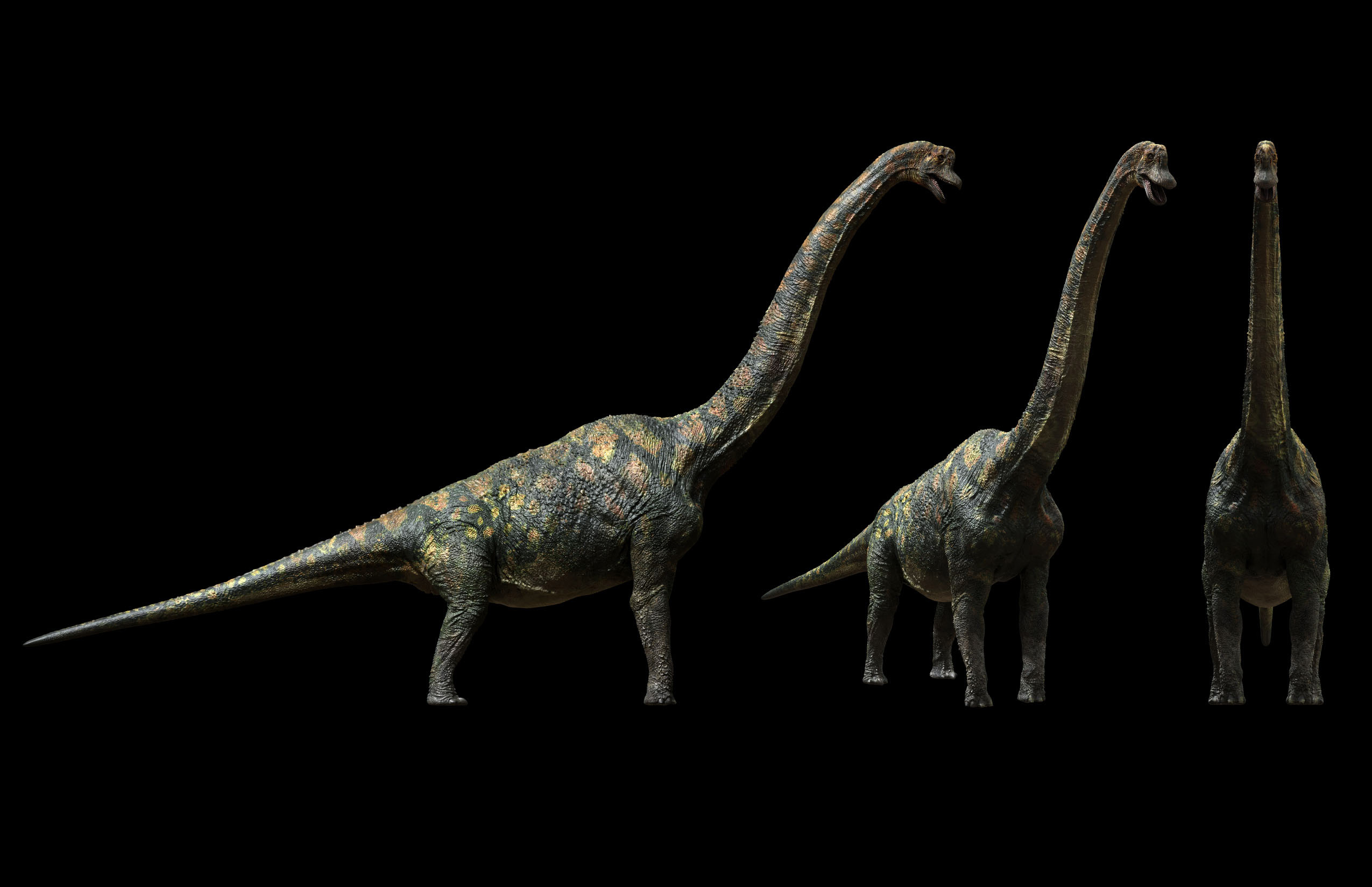 terra nova brachiosaurus