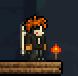 Torch