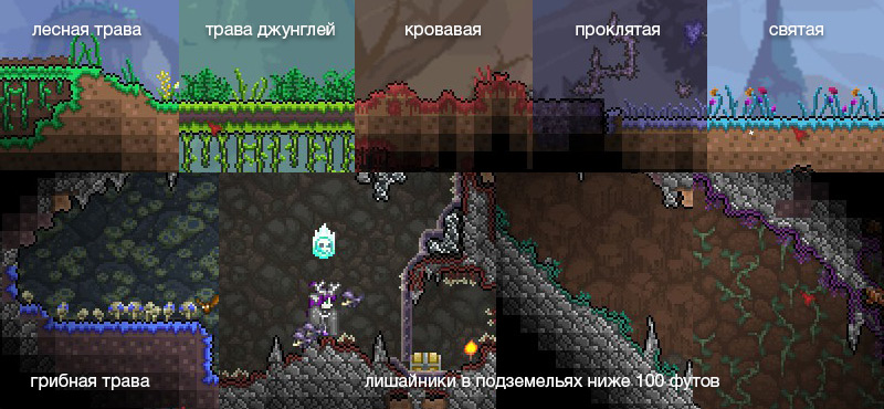 Вся карта террарии по семечку