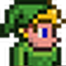 Vanity Items Terraria Wiki Fandom