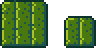 Кактус1