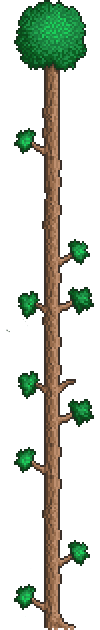 High tree
