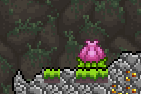 Plantera Bulb