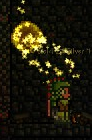 Coin portal