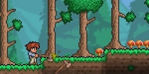 Chop Trees