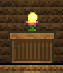 Cactus Candle