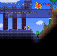 Old Man Terraria Wiki Fandom
