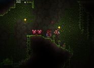 Heart Crystal | Terraria Wiki | Fandom