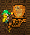 Bee queen